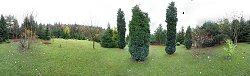 Arboretum ve Ferdinandov