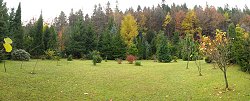 Arboretum ve Ferdinandov