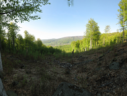 Bl potok